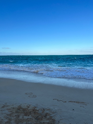 Beach Day