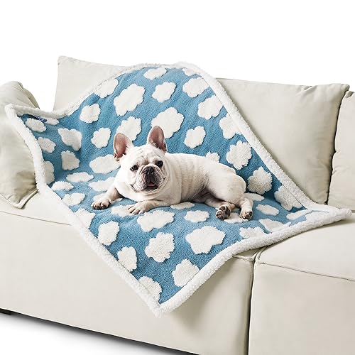 Lesure Waterproof Dog Blanket for Medium Dogs - Washable Double Sided Dog Blankets with Warm Jacquard Shag and Soft Sherpa Fleece, Pet Cat Blanket for Couch Protection, 3D Textured Cloud, Blue - M(30x40") - Blue