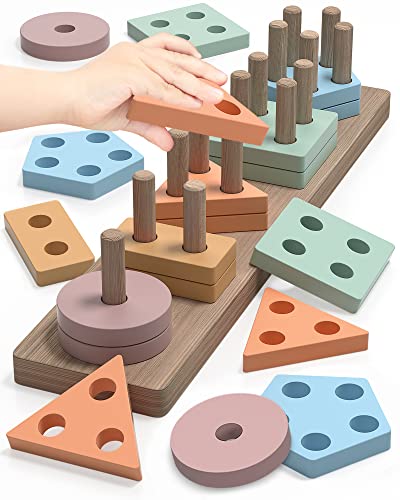 Shape Sorter Wooden Toy