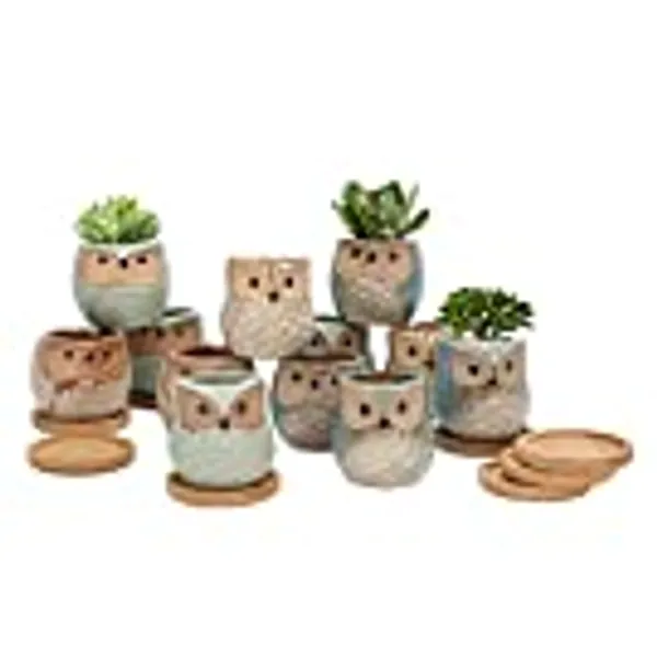Warmplus 2.5 inch Owl Succulent Plant Pots - Mini Ceramic Planter with Drainage Hole for Mini Succulent Plants, Plants Not Included, Cute Succulent Kit 12 Pack