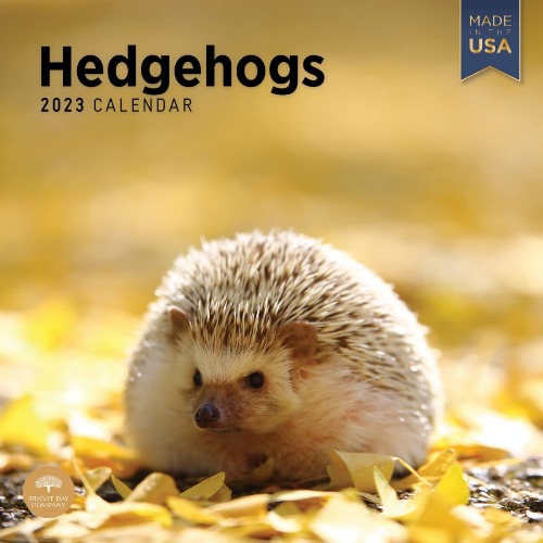 2023 Hedgehogs Monthly Wall Calendar by Bright Day, Made in The USA, 12 x 12 Inch, Cute Adorable Pet Animal Wildlife Photography