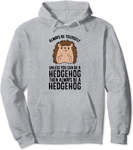 Always Be Yourself Unless You Can Be A Hedgehog Pullover Hoodie