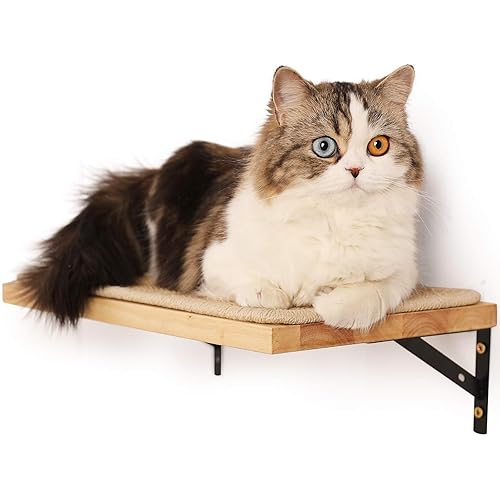 FUKUMARU Cat Wall Shelves, 16 x 10 Inch Cat Walls Furniture with Sisal Mat, Solid Rubber Wood Floating Shelf with Upgraded Installation, Kitten Window Perch for Sleeping, Playing and Scratching - M-Sisal Mat