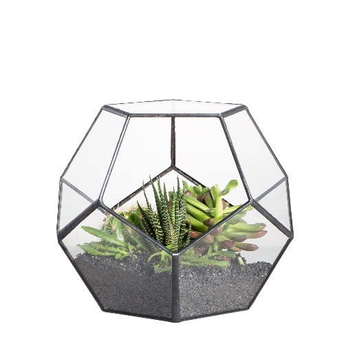 NCYP Handmade Blumentopf Transparentes fünfeckiges Dodekaeder Glas, Terrarium, auch für Sukkulenten , farblos, Schwarz (ohne Pflanzen) - Modern