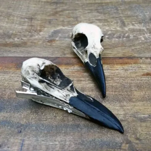 Bird Skull Hair Clip