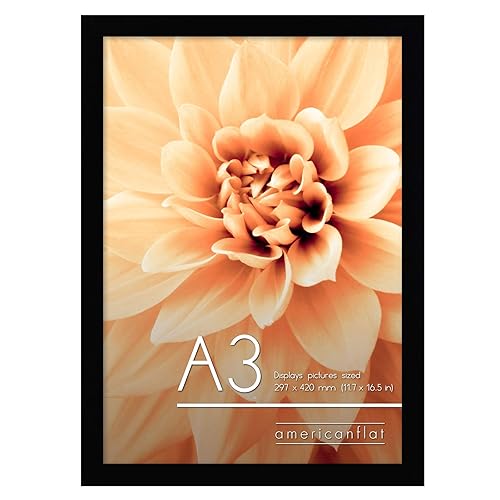 A3 Picture Frame