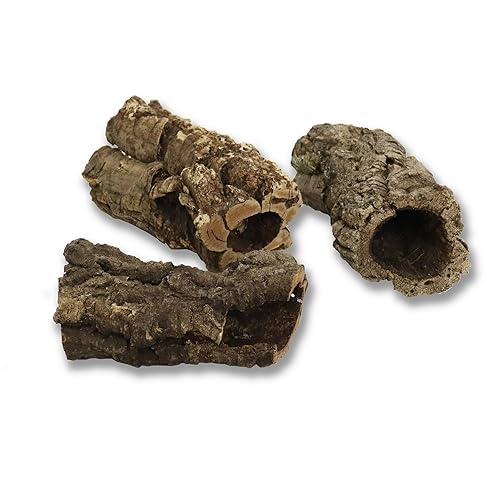 sphagnum-shop.com Korkeiche Rinde Korkröhren 3 Stück 15-20cm lang ca. 3-7cm Innendurchmesser Korknetz Naturkorkrinde Terrarium Modellbau Deko - 3x 15-20cm