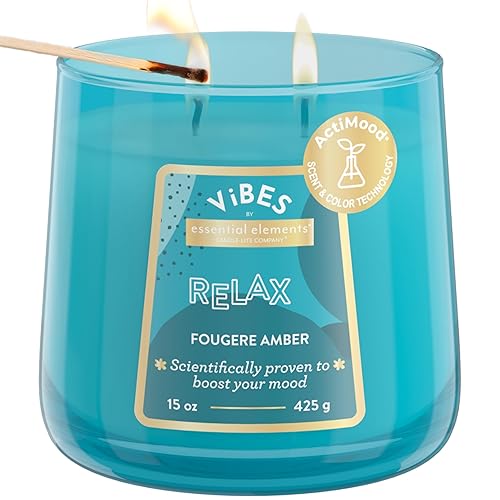 Candle-Lite Vibes Fougere Amber Fresh Scented Candles, Aromatherapy Mood-Enhancing, 15 oz 2-Wick Jar, 86 Hours Burn Time, Perfect Relaxation Holiday Gift for Women - Relax (NEW) - 15 oz