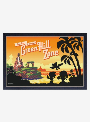 Sonic the Hedgehog Beautiful Zone Framed Wood Wall Art