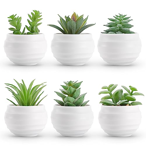Der Rose Set of 6 Succulents Plants Artificial in Pots Small Fake Plants for Bedroom Aesthetic Living Room Office Shelf Bathroom Decor - White Pots-6 Pack