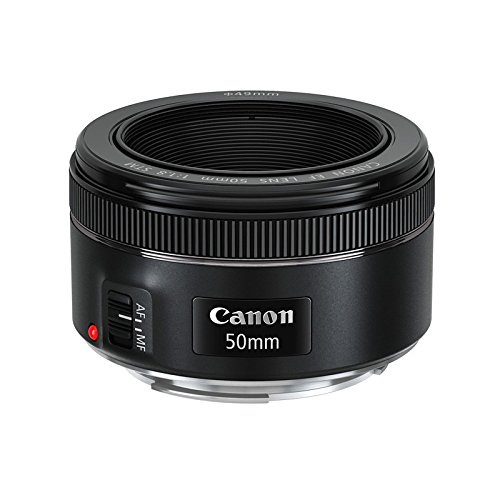 Canon EF 50mm f/1.8 STM Normal Lens for EF Cameras - Lens Only