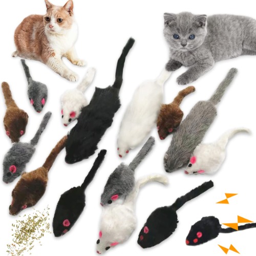 CAT TOYS FOR SID