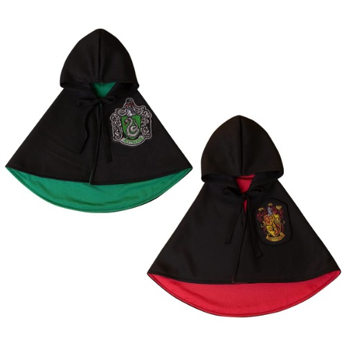 YER A WIZARD HARRY but its a cat