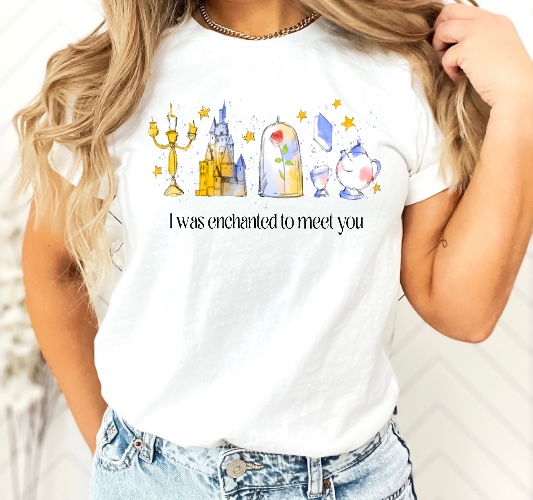 I was Enchanted to meet you Tee/Raglan/Bleach tee | Unisex XL Shirt