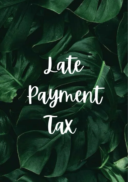 Late Payment Tax