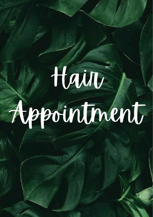 Hair Appointment 