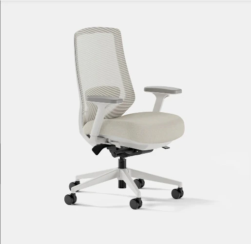Branch | Ergonomic Chair Pro