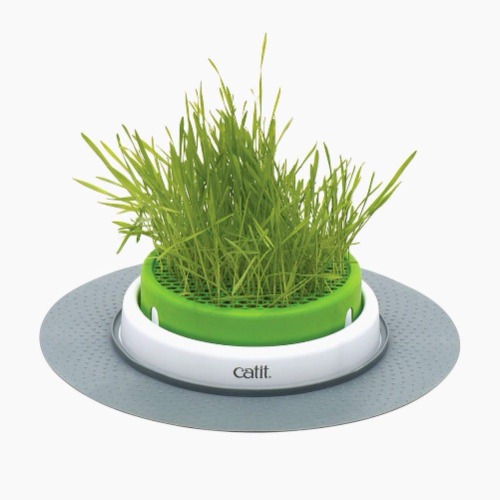 Catit Grass Planter, White/Green
