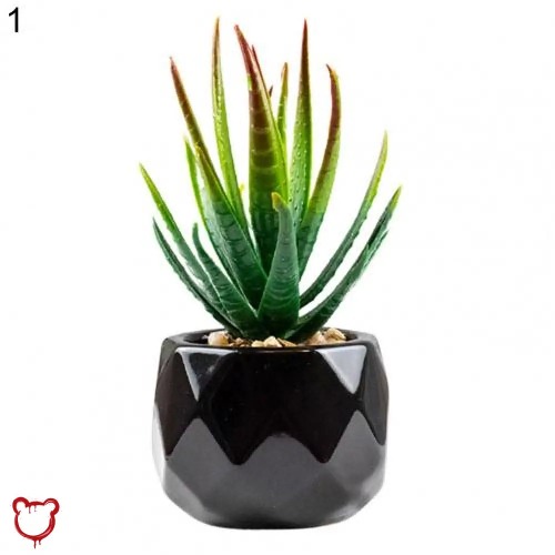 Black Pot Succulent in 11 Designs - 1