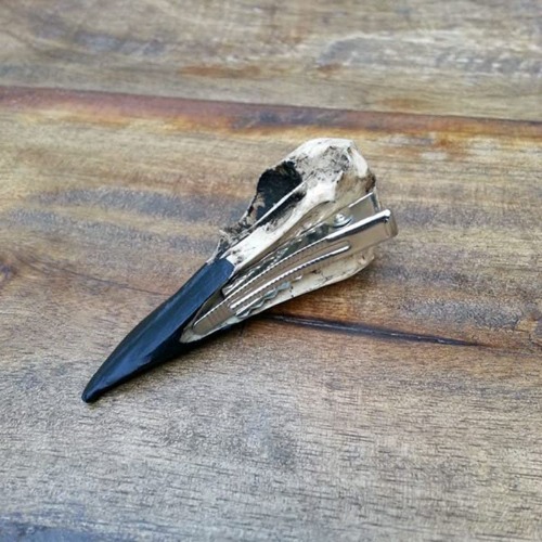 Avis Mortis Metal Skull Barrette Hair Clip