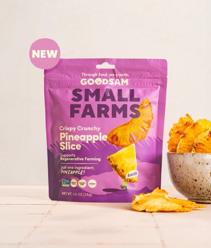 Crispy Crunchy Pineapple Slice - 3 Bag Bundle - 1.0 oz/u