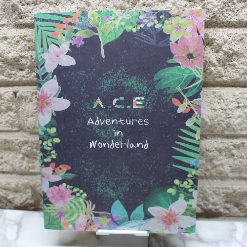 A.C.E Adventures in Wonderland CD Rare Night Version No Photocards