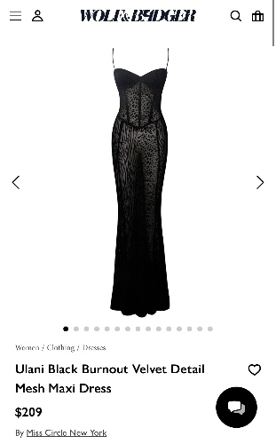 Ulani Black Burnout Velvet Detail Mesh Maxi Dress