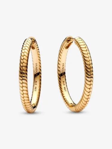 Boucles d'Oreilles Créoles à Charms Pandora Moments