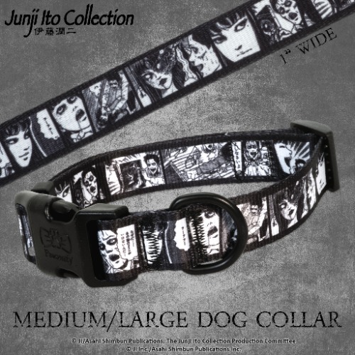 Tomie Collar - Dog: (L) 16-26"