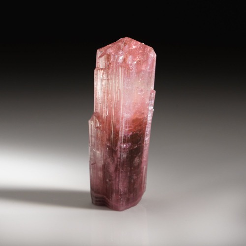 Elbaite Tourmaline from Nuristan Province, Afghanistan