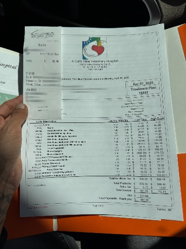 Me & My Fur babies first veterinary bill .. ❤️ 