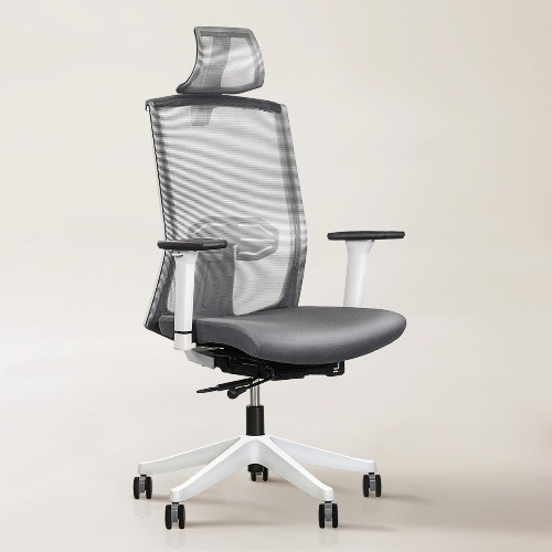 Karma Ergonomic Chair - White