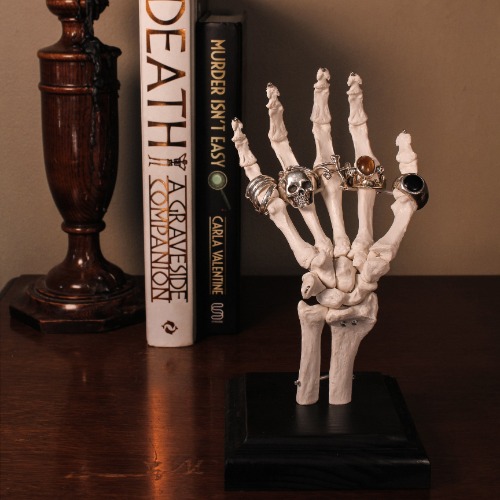 Skeleton Hand Jewellery Stand | Black Wood