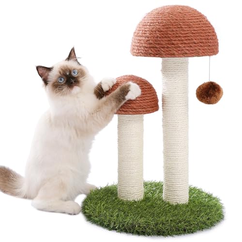 PETEPELA Cat Scratching Post, Mushroom Tall Cat Scratcher Featuring with Natural Sisal Scratching Poles and Interactive Toy Ball for Kittens and Small Cats (Brown) - 19" - Mushroom Brown