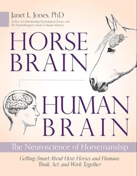 Horse Brain, Human Brain
