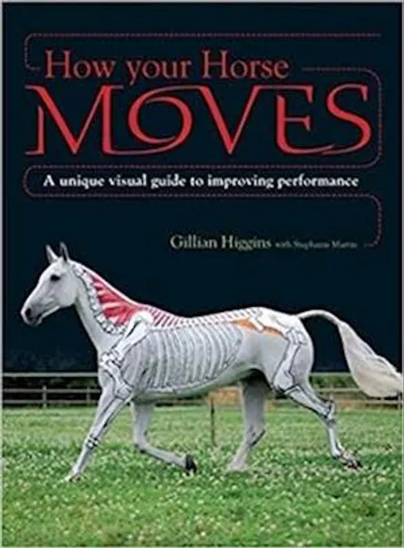 How Your Horse Moves