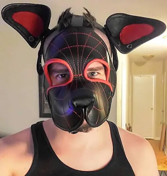 Superhero puppy masks/hoods