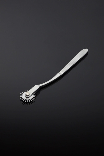 SXN Steel Sensory Wheel Stimulator