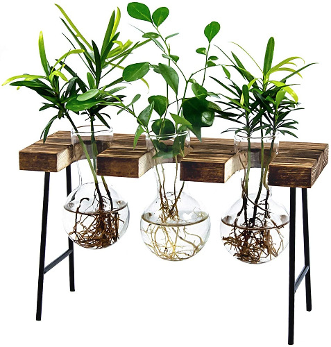 Tabletop Plant Propagation Station - Three Bulb Vases