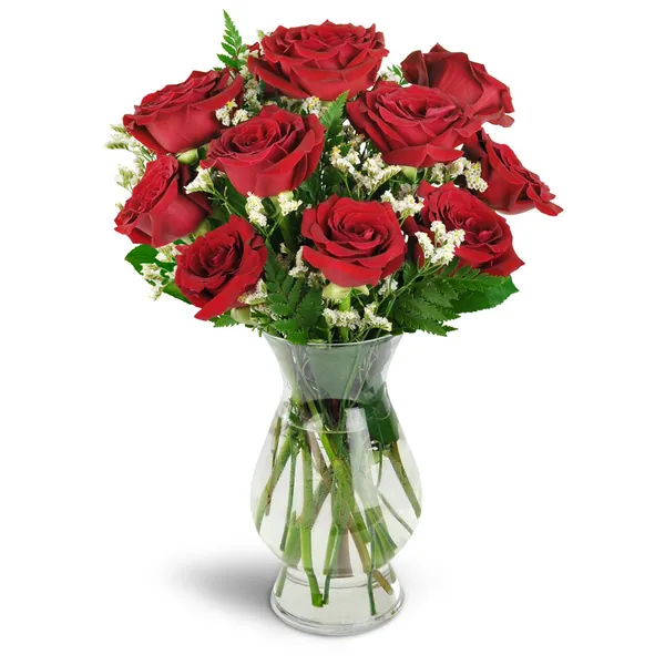Devoted to You™ Red Roses