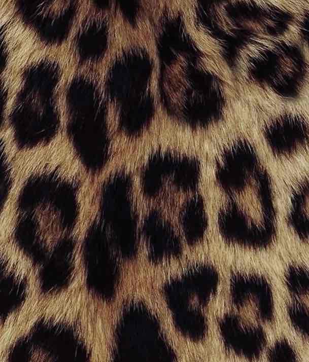 Small shopping spree 