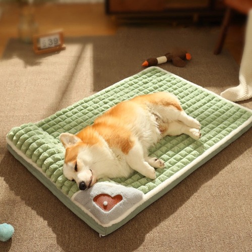 Pet Bed with Attached Pillow - Green / L