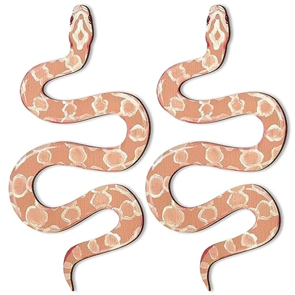 Set of 2 Earthy Room Wall Decor Boho Witchy Cute Wooden Snake Decor Natural Aesthetic Witchy Desk Decor Altar Decor Frame Wall Hanging Boho Wall Art for Apartment Bedroom Living Room (Novel)