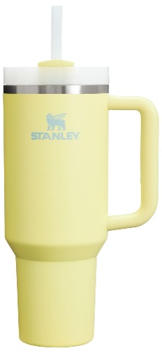 Stanley Quencher H2.0 FlowState Stainless Steel Vacuum Insulated Tumbler with Lid and Straw for Water, Iced Tea or Coffee, Smoothie and More, Pomelo, 40oz - 1.2 Liters - Pomelo
