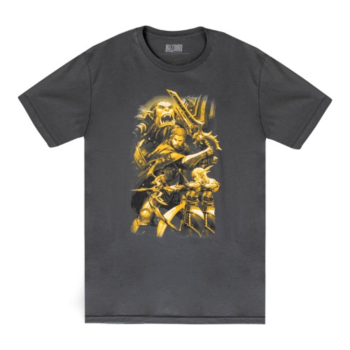 World of Warcraft: The War Within Key Art Grey T-Shirt | S
