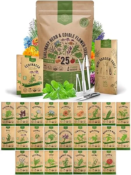 25 Culinary Herbs & Edible Flower Seeds Variety Pack for Planting Indoor & Outdoors. 11900+ Non-GMO Heirloom Flower Garden Seeds: Basil, Borage, Echinacea, Lavender, Oregano, Rosemary Seeds & More - Culinary Herbs & Edible Flowers - 25 Culinary Herbs & Edible Flower Seeds