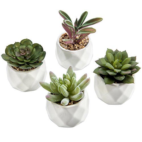 Miniature Artificial Succulents, Indoor Fake House Plants