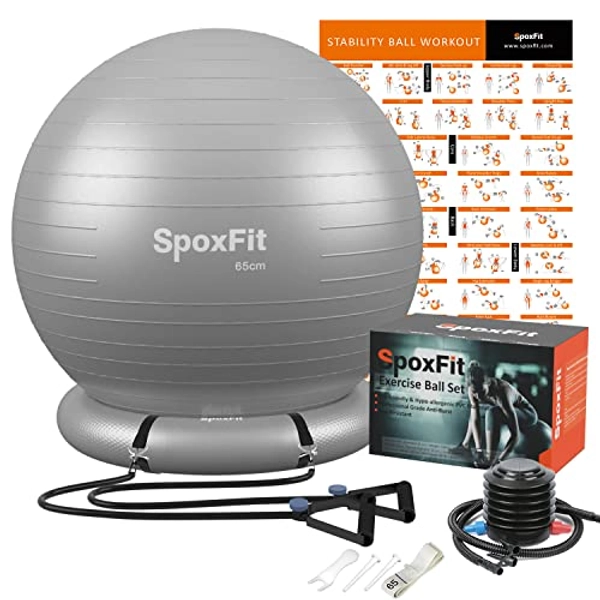 SpoxFit Exercise Ball, 65cm Anti-Burst Yoga Ball, Stability Fitness Ball for Birthing & Core Strength Training, Includes Quick Pump & Workout Poster - Silver Ball With Base