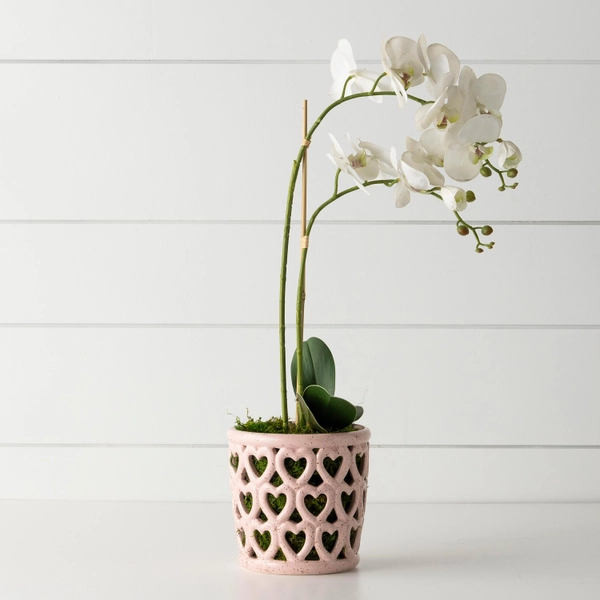 Cherished Hearts Orchid Planter | VivaTerra