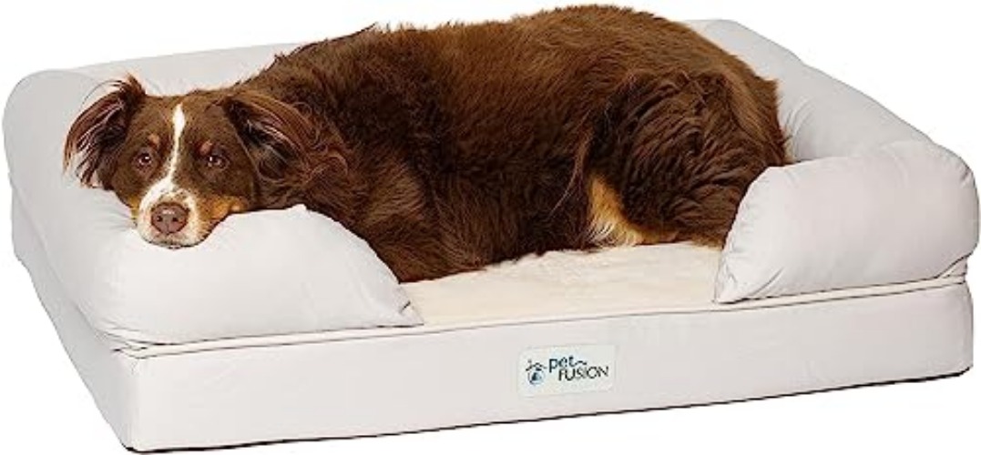 PetFusion Ultimate Dog Bed, Orthopedic Memory Foam, Multiple Sizes/Colors, Medium Firmness Pillow, Waterproof Liner, YKK Zippers, Breathable 35% Cotton Cover,1yr. Warranty, Large (36x28"), Sandstone - Ultimate Dog Bed - 36.0"L x 28.0"W x 9.0"Th - Sandstone